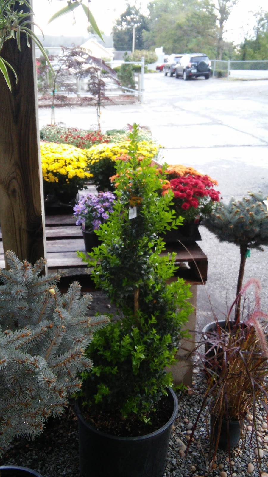 Frank Otte Nursery & Garden | 7505 River Rd, Prospect, KY 40059 | Phone: (502) 228-5974