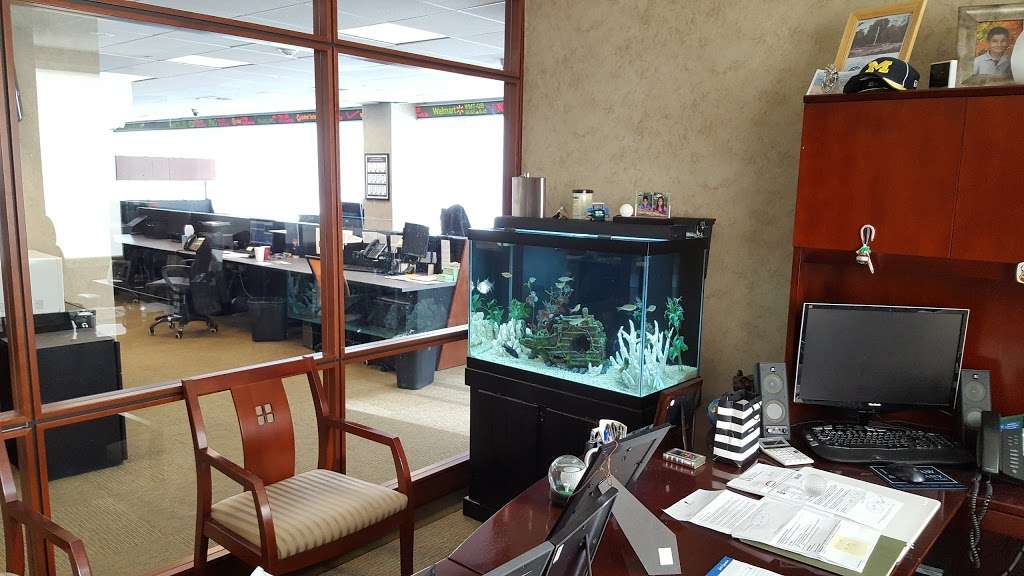 Reef Scape Aquatics | b, 741 W Jericho Turnpike, Huntington, NY 11743, USA | Phone: (631) 692-6288