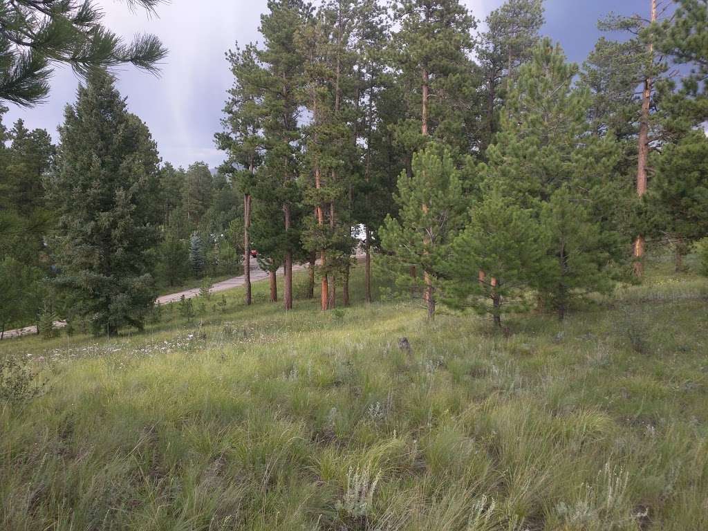 Pike Community Group Campground | CO-67, Woodland Park, CO 80863, USA | Phone: (719) 636-1602