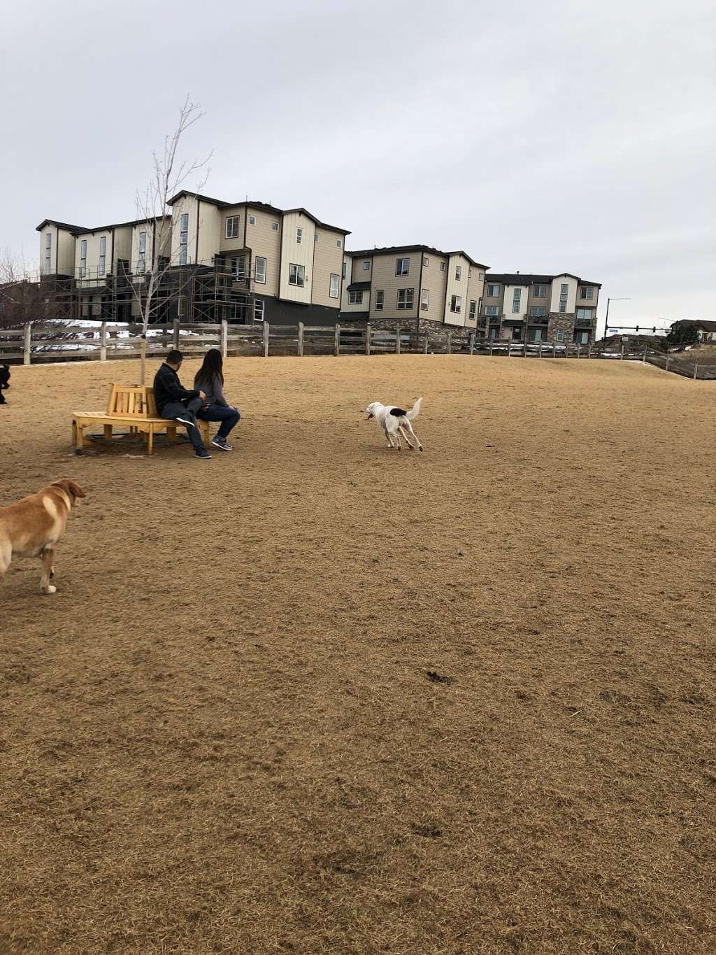 Douglas County Off-leash Area | 1100 Plum Creek Pkwy, Castle Rock, CO 80104, USA