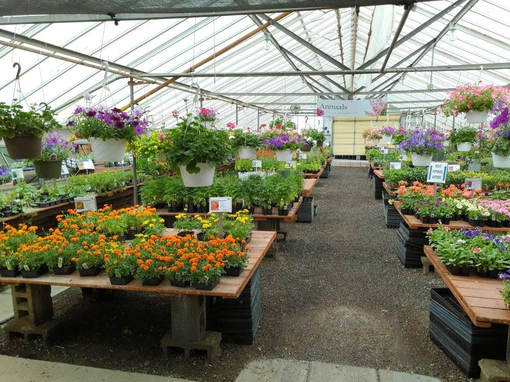 Kens Gardens: Garden Center & Greenhouse | 2467 Old Philadelphia Pike, Lancaster, PA 17602, USA | Phone: (717) 392-4875