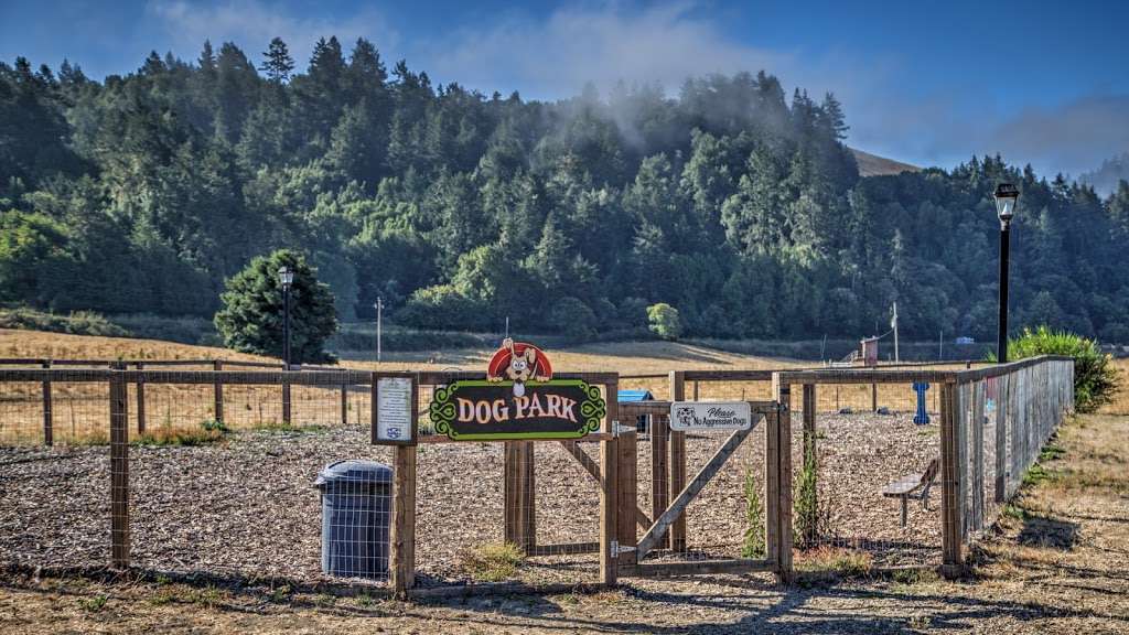 Casini Ranch Family Campground | 22855 Moscow Rd, Duncans Mills, CA 95430, USA | Phone: (800) 451-8400