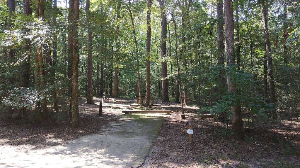 Sam Houston National Forest - Double Lake Recreation Area | 301 FM 2025, Coldspring, TX 77331, USA | Phone: (936) 653-3448