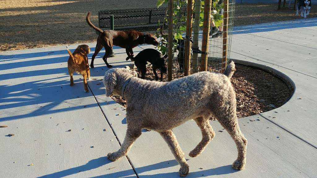 Cubbys Dog Park | 3200 W Lagoon Rd, Pleasanton, CA 94588, USA