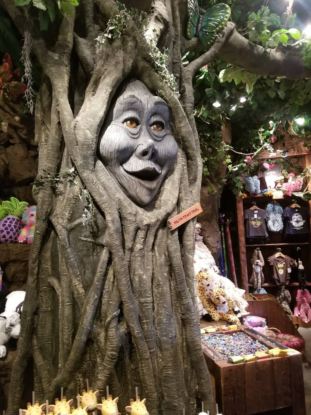 Rainforest Cafe | 1800 E Buena Vista Dr, Lake Buena Vista, FL 32830, USA | Phone: (407) 827-8500