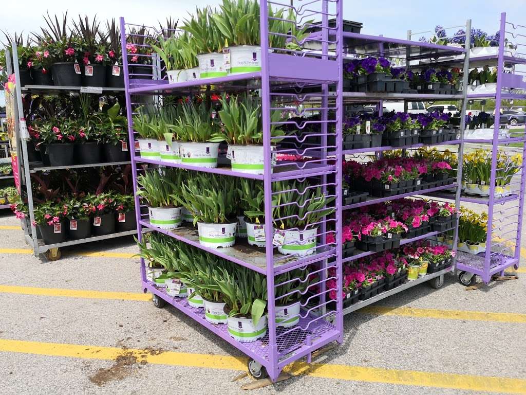 Garden Center at The Home Depot | 181 S Gulph Rd, King of Prussia, PA 19406, USA | Phone: (610) 265-7380