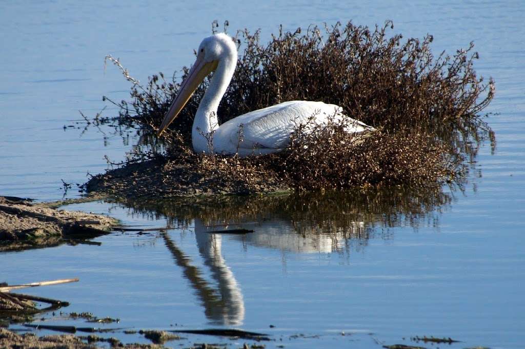 McGrath State Beach and Campground | Oxnard, CA 93036, USA | Phone: (805) 968-1033