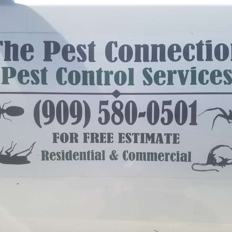 Pest Connection | 2097 E Washington St Ste 1E #331, Colton, CA 92324, USA | Phone: (909) 580-0501