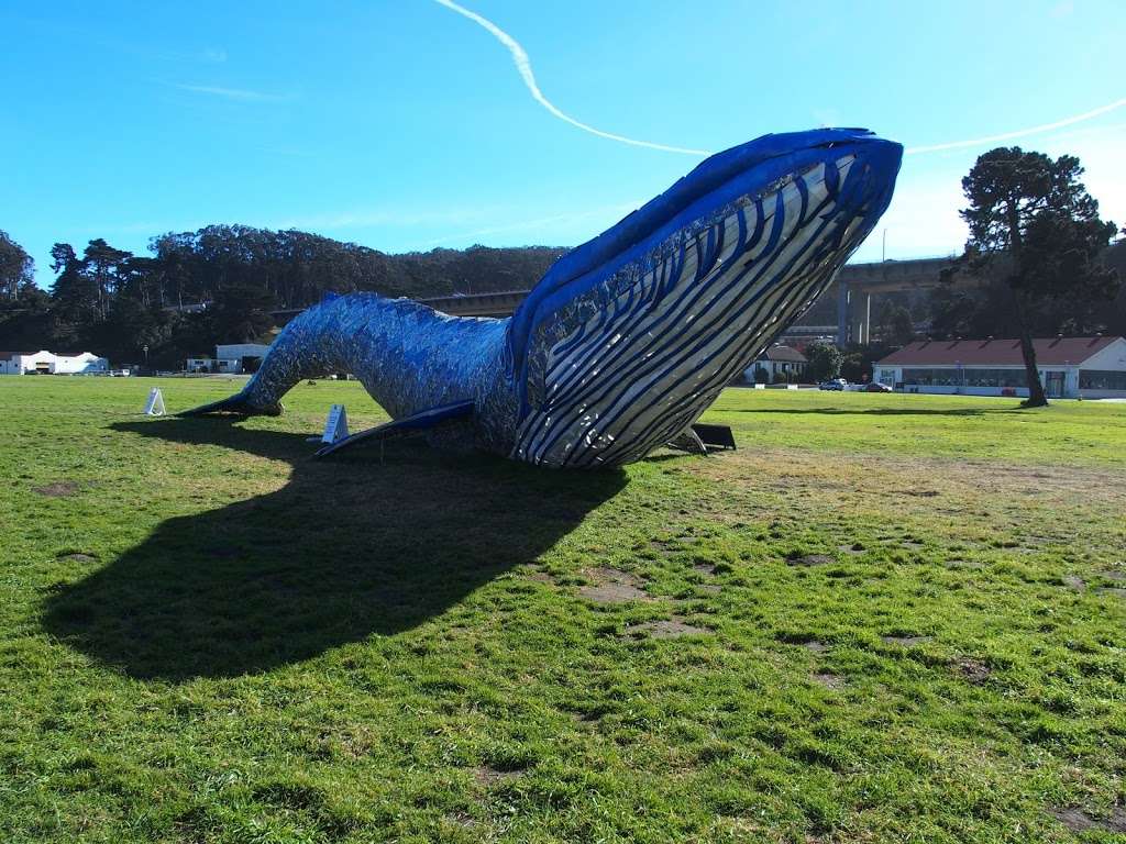 Picnic Area Crissy Field | San Francisco Bay Trail, San Francisco, CA 94129, USA