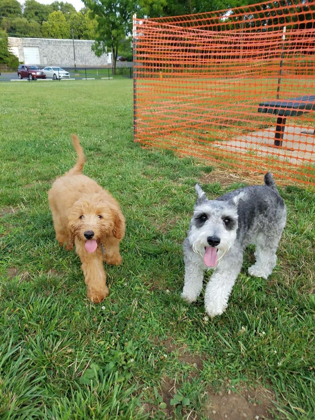 Allen Township Dog Park | Northampton, PA 18067