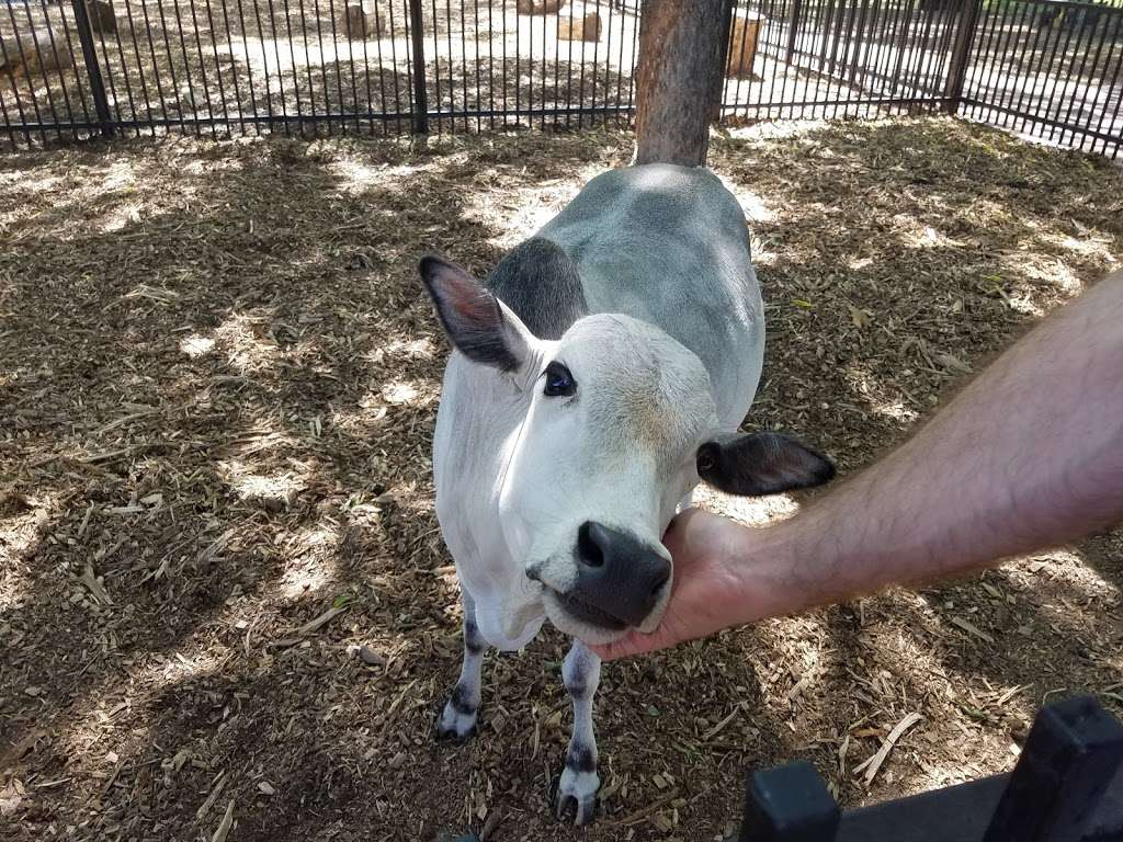 Fritz Park Petting Farm | 312 E Vilbig St, Irving, TX 75060, USA | Phone: (972) 721-2640