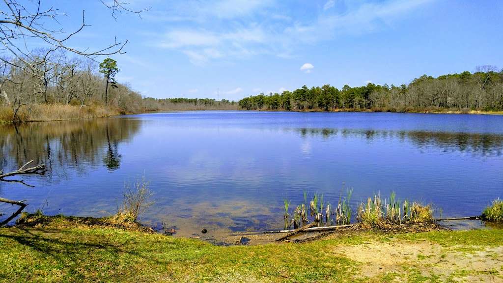 Colliers Mills Wildlife Management Area | 401 Hawkin Rd, New Egypt, NJ 08533, USA | Phone: (609) 758-2455