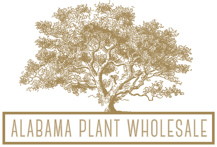 Alabama Plant Wholesale | We offer APPOINTMENT ONLY at this location, 2981 Grants Mill Rd, Leeds, AL 35094, USA | Phone: (205) 602-5166