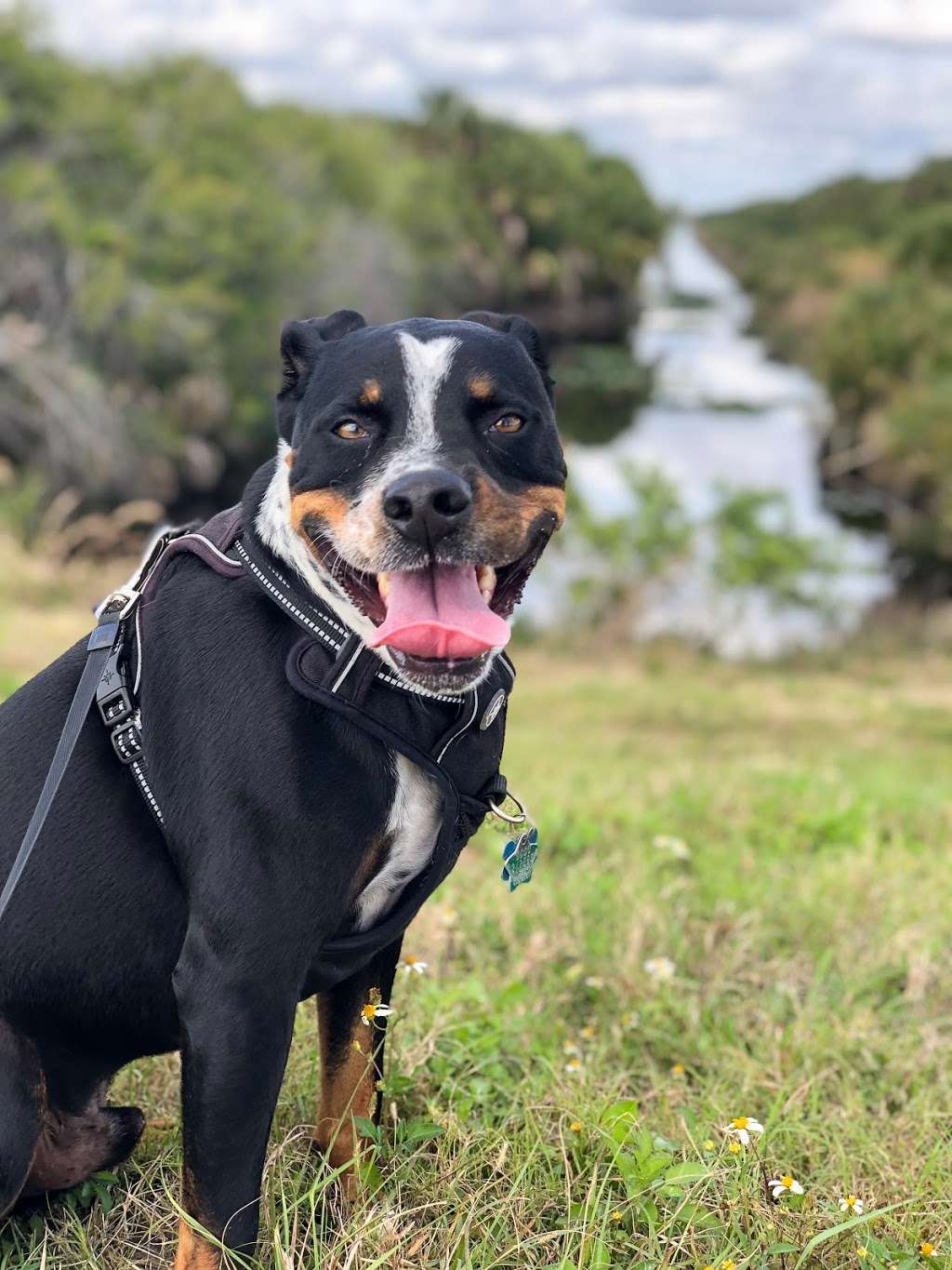 Three Forks Conservation Area North Trailhead | Walk in, Melbourne, FL 32904, USA