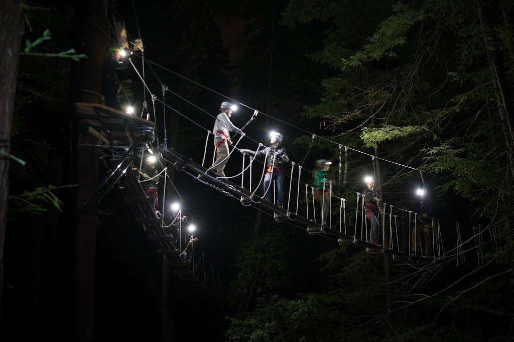 Sonoma Canopy Tours | 6250 Bohemian Hwy, Occidental, CA 95465, USA | Phone: (888) 494-7868