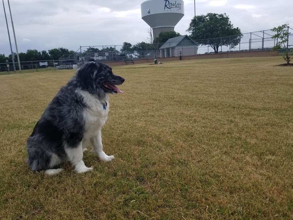 Scentral Dog Park | 4601 Centennial Dr, Rowlett, TX 75088