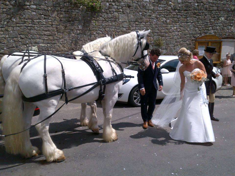 The Horse Drawn Carriage Company | Ashurstwood, Ashurst Wood RH19 3SA, UK | Phone: 07821 742016