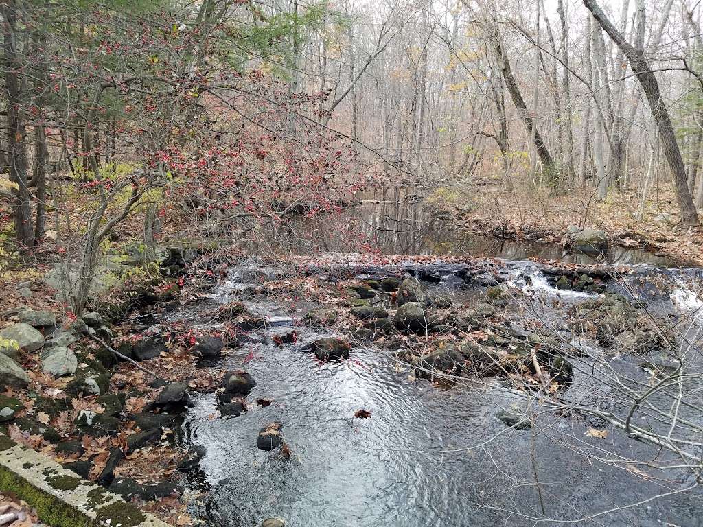 Stonebridge Waterfowl Preserve | 388-398 Newtown Turnpike, Wilton, CT 06897, USA