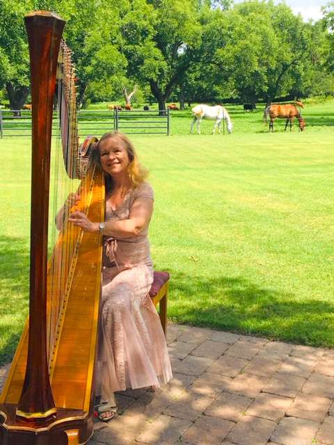 Harp Music By Laurel | 2524 Sidwin St, Dallas, TX 75228, USA | Phone: (214) 328-6300