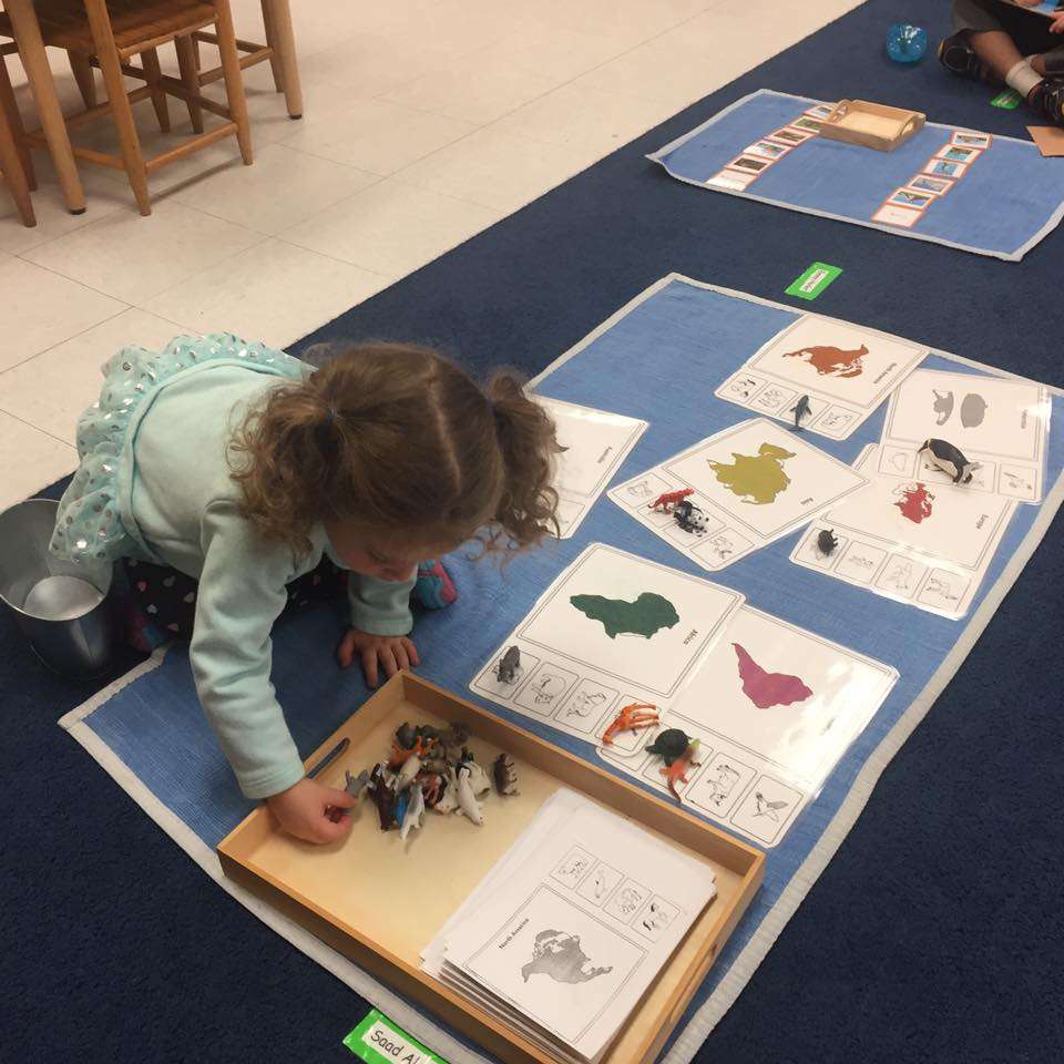 Community Montessori School | 1700 Reston Pkwy, Reston, VA 20194, USA | Phone: (703) 478-3656