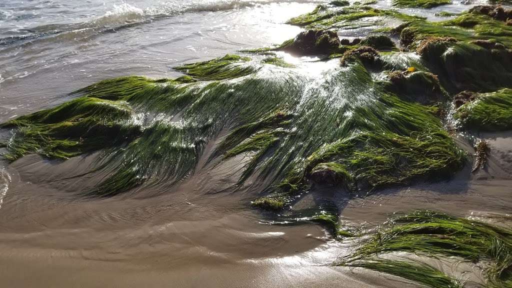 Crystal Cove - Reef Point Dr. | Reef Point Dr, Newport Coast, CA 92657, USA