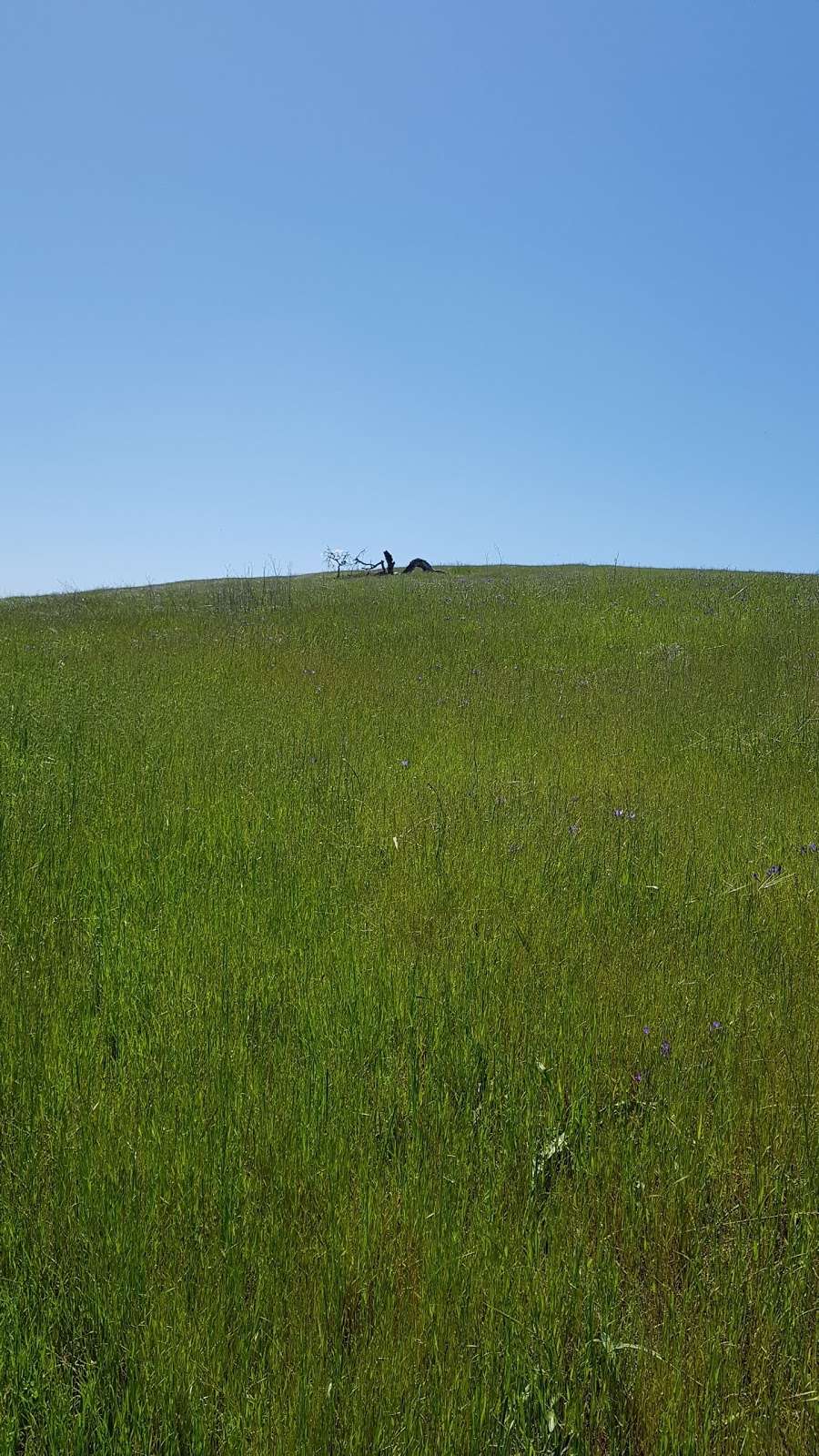 Gerona Gate, Stanford Dish Hiking Trail | Stanford Dish Hiking Trail, Stanford, CA 94305