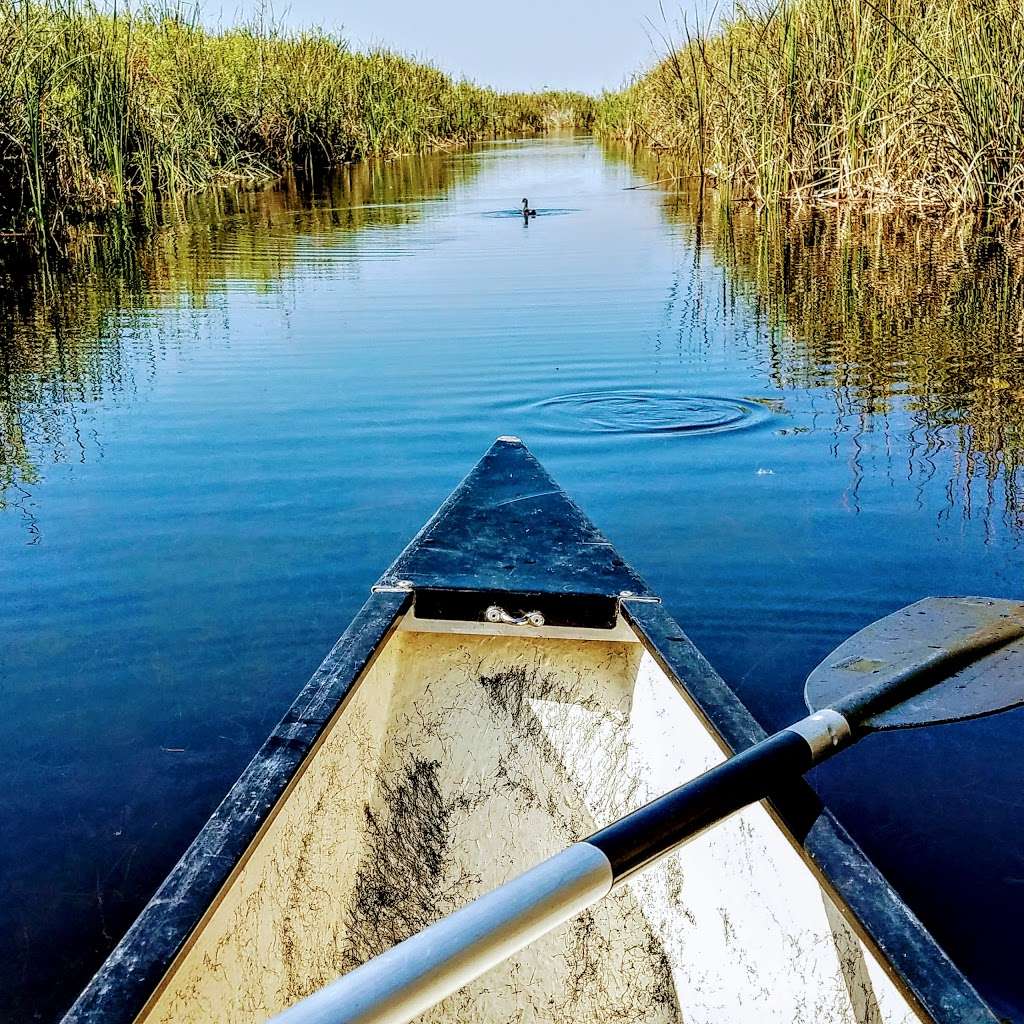 Arthur R. Marshall Loxahatchee National Wildlife Refuge | 10216 Lee Rd, Boynton Beach, FL 33472 | Phone: (561) 732-3684