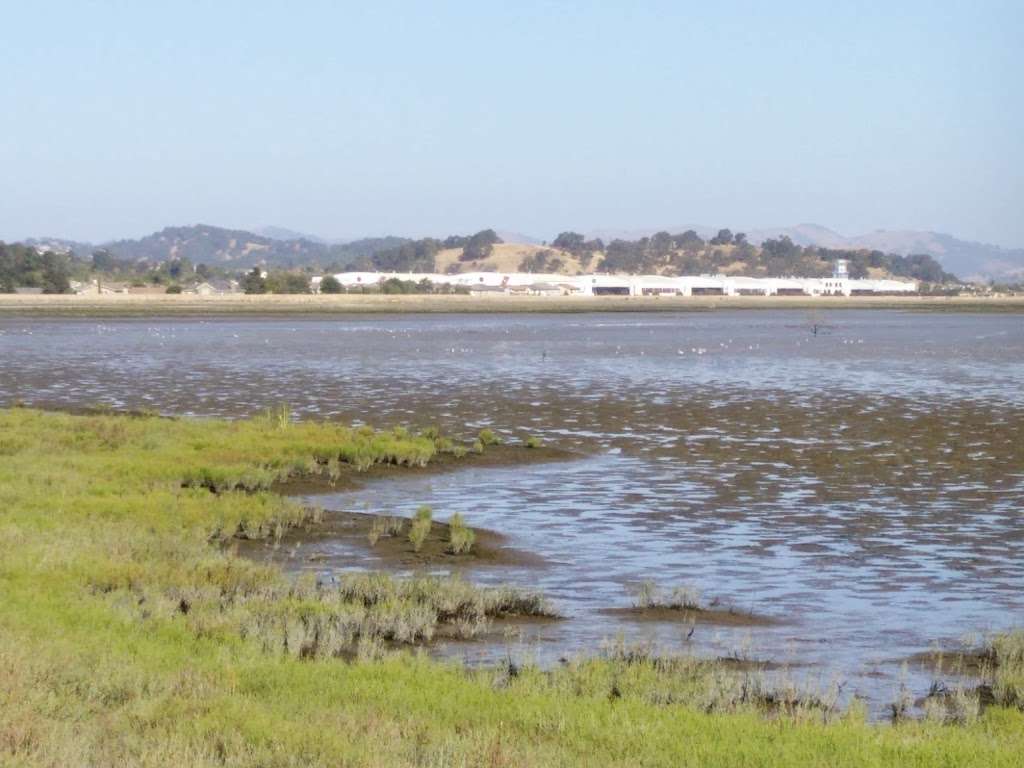 Hamilton Wetlands | Novato, CA 94949, USA