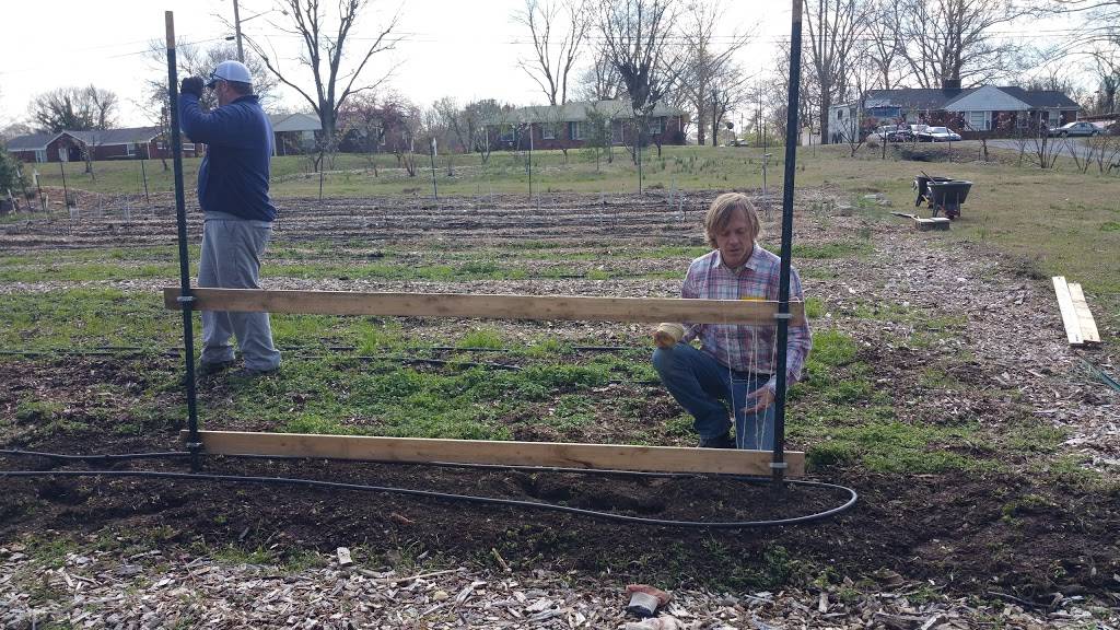 Hands On Nashville Urban Farm | 361 Wimpole Dr, Nashville, TN 37211 | Phone: (615) 298-1108