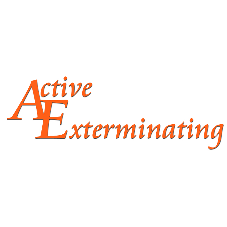 Active Exterminating Inc | 777 W Merrick Rd, Valley Stream, NY 11580, USA | Phone: (516) 285-1718