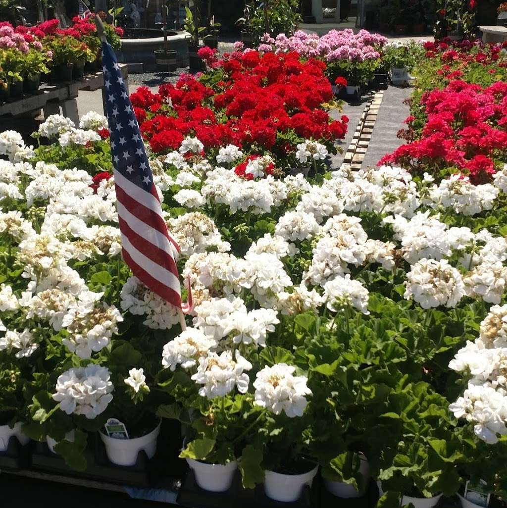 Northeast Nursery Garden Center | 234 Newbury St, Peabody, MA 01960, USA | Phone: (978) 535-6550