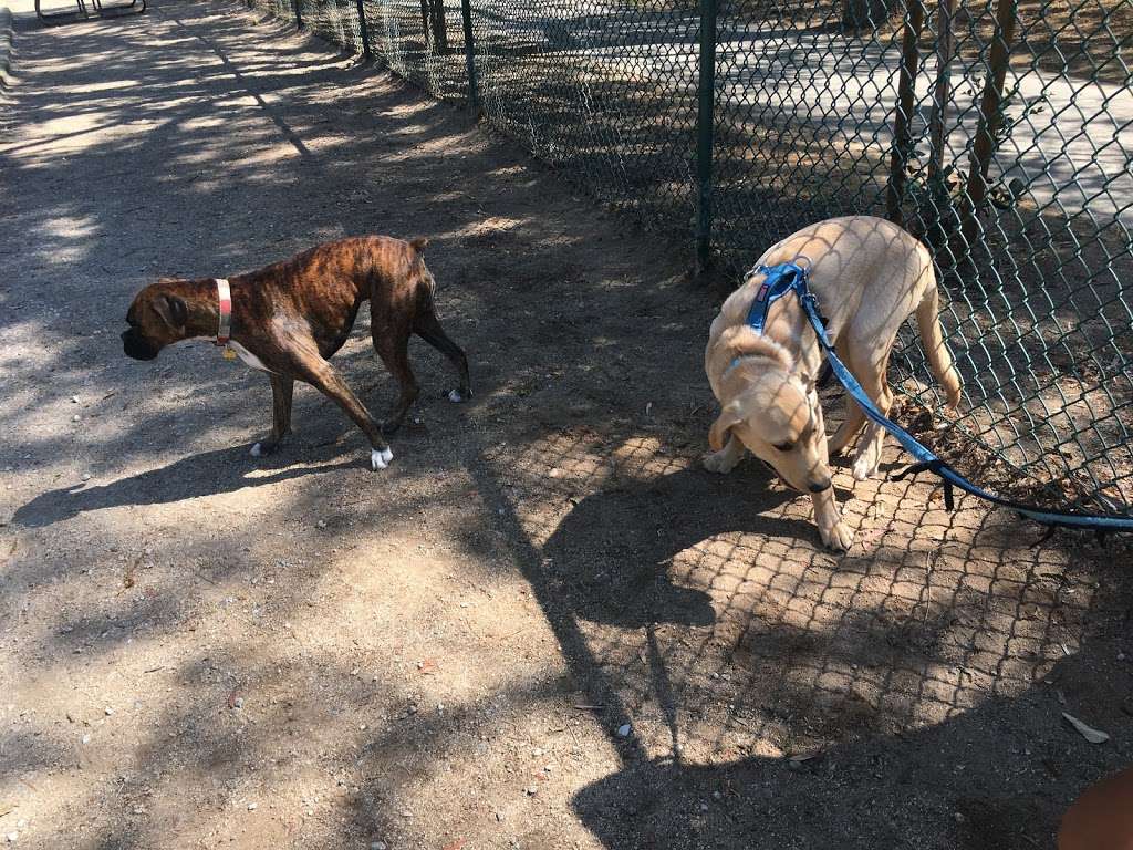 Saratoga Creek Dog Park | 5399 Graves Ave, San Jose, CA 95129, USA