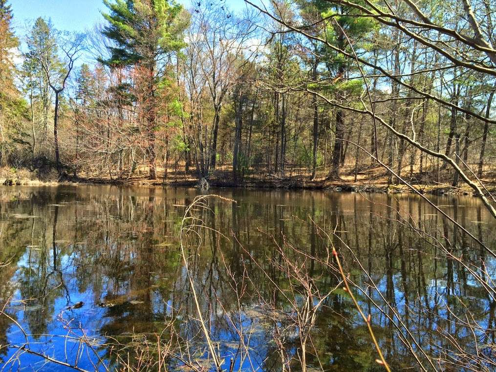 Loker Conservation and Recreation Area | 410 Commonwealth Rd, Wayland, MA 01778, USA