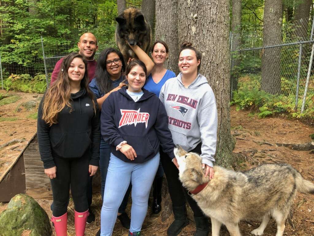 VCA Whitman Animal Hospital | 795 Bedford St, Whitman, MA 02382, USA | Phone: (781) 447-0011