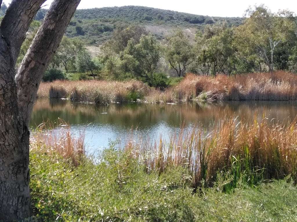 Poway Pond | Sunwood Trail, Poway, CA 92064, USA