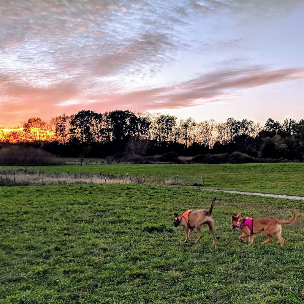 Runway Dog Park | 1214 E Rawson Ave, Oak Creek, WI 53154, USA | Phone: (414) 257-7275