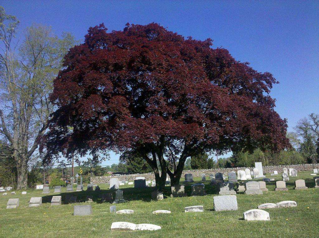 Cumberland Cemetery | 447 Middletown Rd, Media, PA 19063, USA | Phone: (610) 566-3105