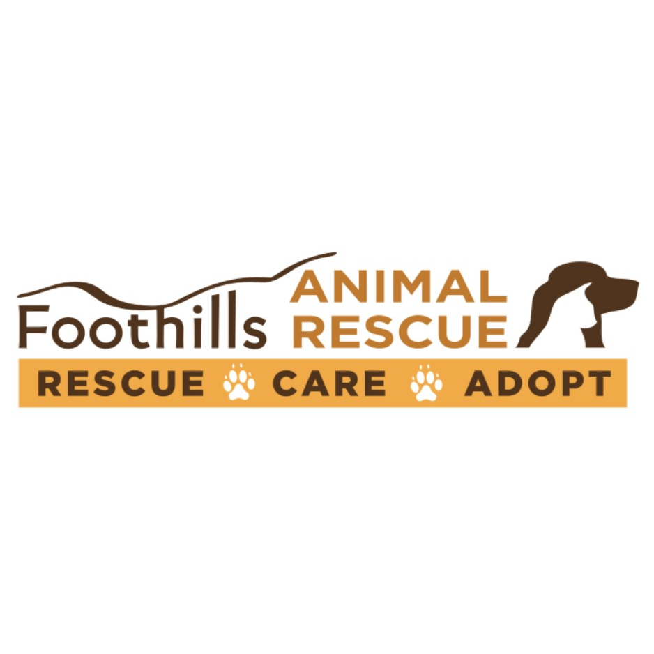 Foothills Animal Rescue Resale Boutique | 23030 N Pima Rd, Scottsdale, AZ 85255 | Phone: (480) 585-5777