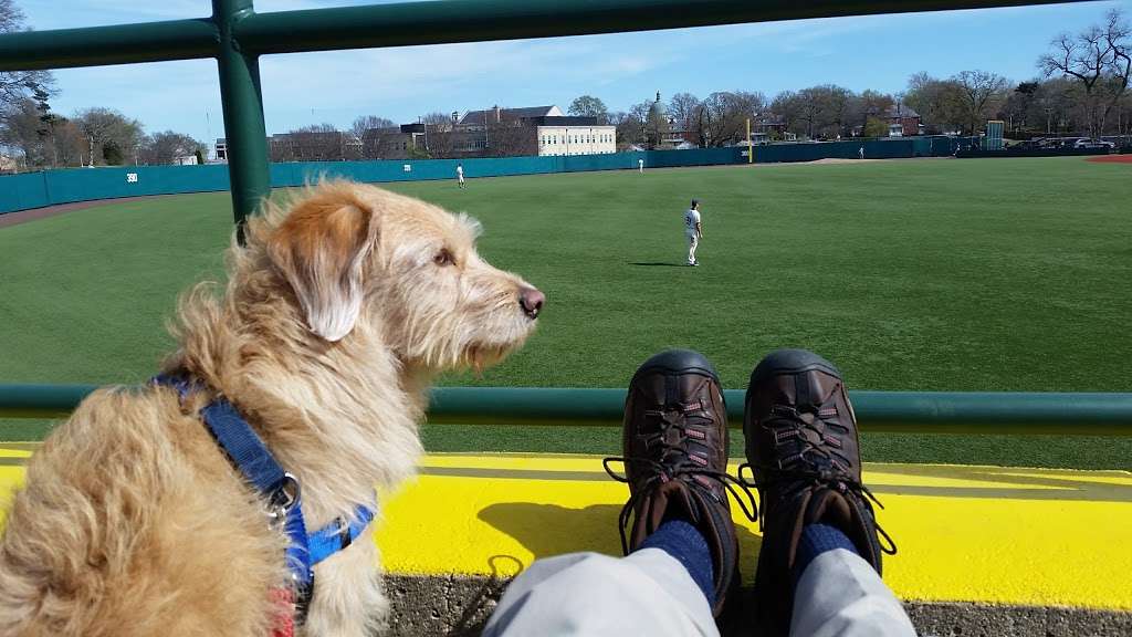 Terwilliger Brothers Field at Max Bishop Stadium | Naval Academy, MD 21402, USA