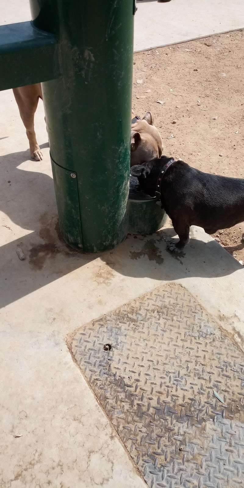 Serenity Dog Park | 370120045, Lake Elsinore, CA 92530