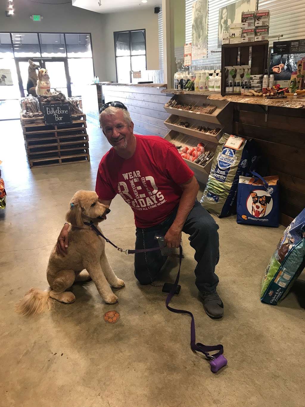 Dirty Dogs Carlsbad | 2521 Palomar Airport Rd #105, Carlsbad, CA 92011, USA | Phone: (760) 438-3478 Dirty Dogs Carlsbad | 2521 Palomar Airport Rd #105, Carlsbad, CA 92011, USA | Phone: (760) 438-3478