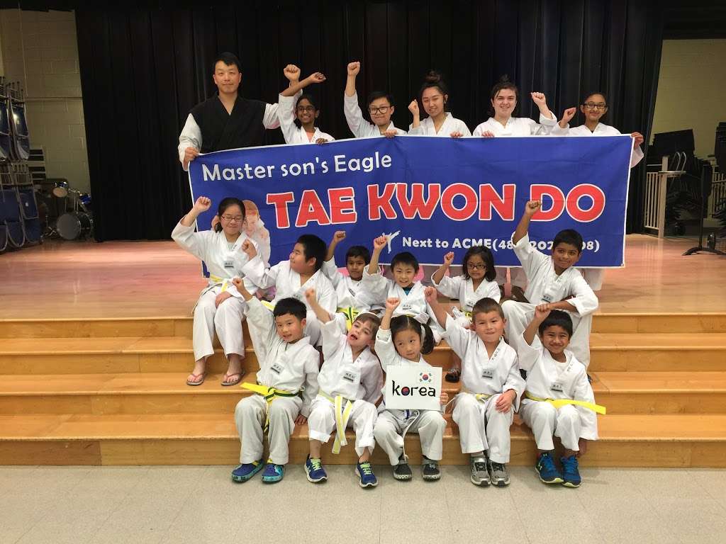 Master Sons Eagle Tae Kwon Do | 500 Simpson Dr, Chester Springs, PA 19425, USA | Phone: (484) 202-7808