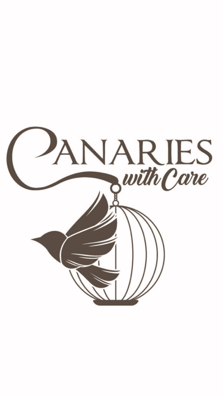 Canaries With Care | 7844 Allott Ave, Panorama City, CA 91402, USA | Phone: (818) 648-7965