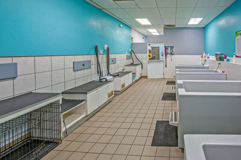 Dirty Paws Pet Wash | 6030 Santo Rd # F, San Diego, CA 92124 | Phone: (858) 569-7387