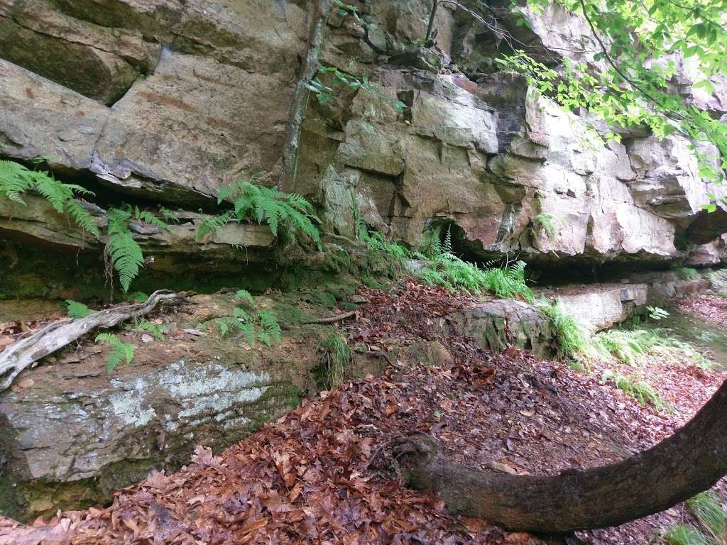 Greens Bluff Trail Head | County Rd 75 E, Spencer, IN 47460, USA | Phone: (317) 951-8818