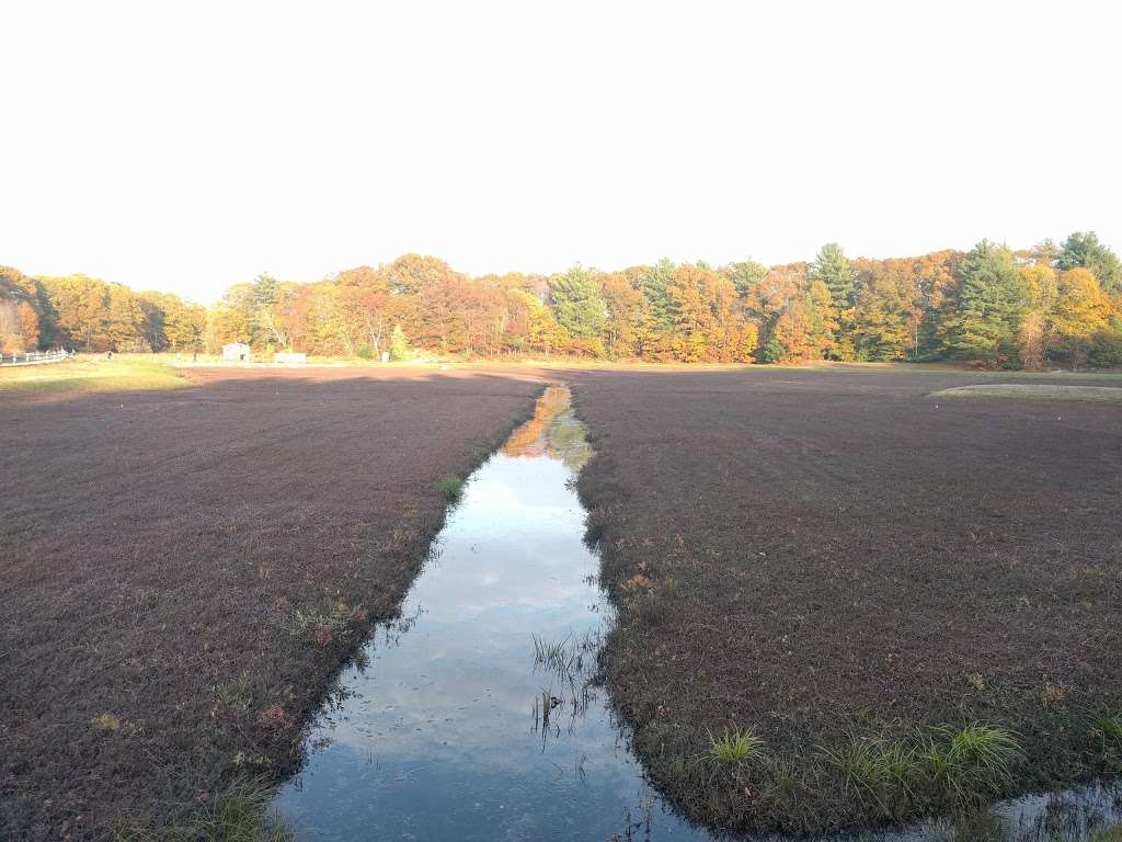 The Nature Trail and Cranberry Bog | 252 Patriot Pl, Foxborough, MA 02035, USA