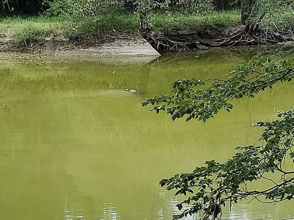 George Bush Park Bike Trail | Houston, TX 77082