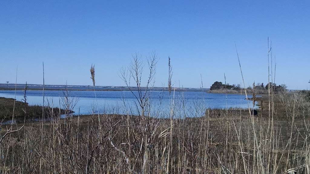 Spizzle Creek Bird Blind | Spizzle Creek Bird Blind Trail, Lanoka Harbor, NJ 08734, USA | Phone: (732) 830-1835