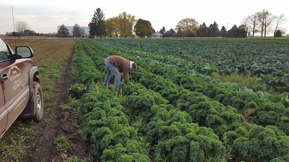 Geneva Lakes Produce Greenhouse & CSA | W2083 WI-11, Burlington, WI 53105 | Phone: (262) 206-1271