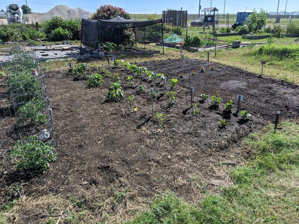 Pecan Street Community Garden | 15500 Sun Light Near Way, Pflugerville, TX 78660, USA | Phone: (512) 990-6360